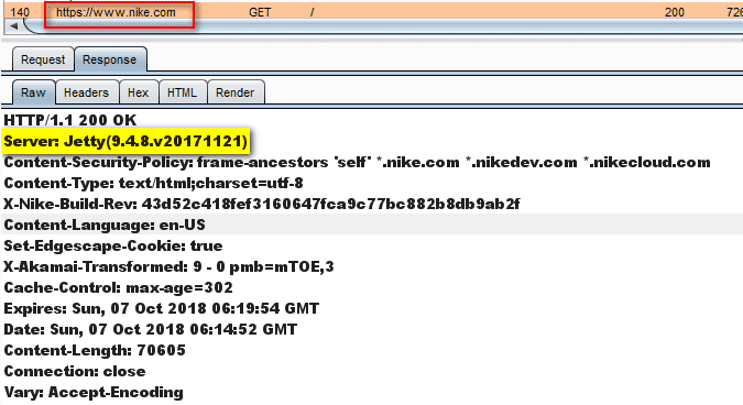 webserver Jetty on Nike's page
